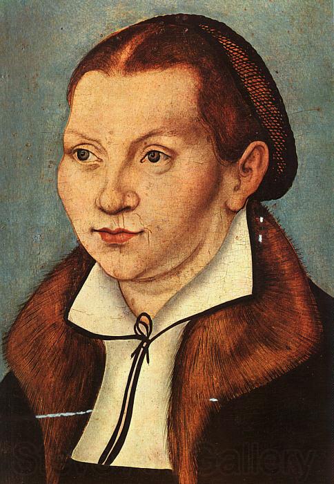 Lucas  Cranach Portrait of Katharina von Boyra Norge oil painting art